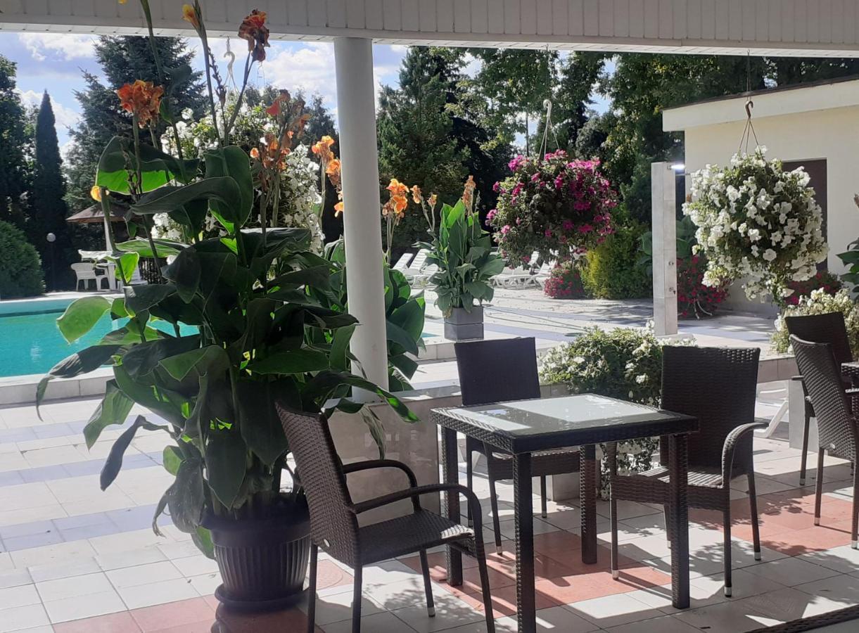 Hotel Hotel Ambasador Chojny 3*