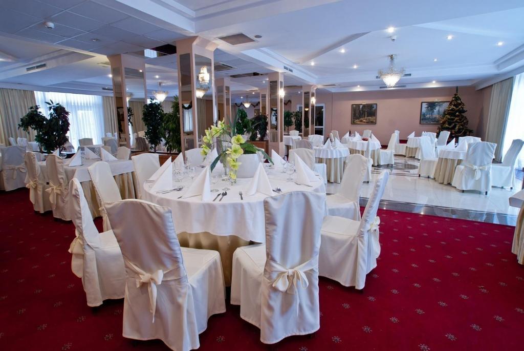 Hotel Ambasador Chojny